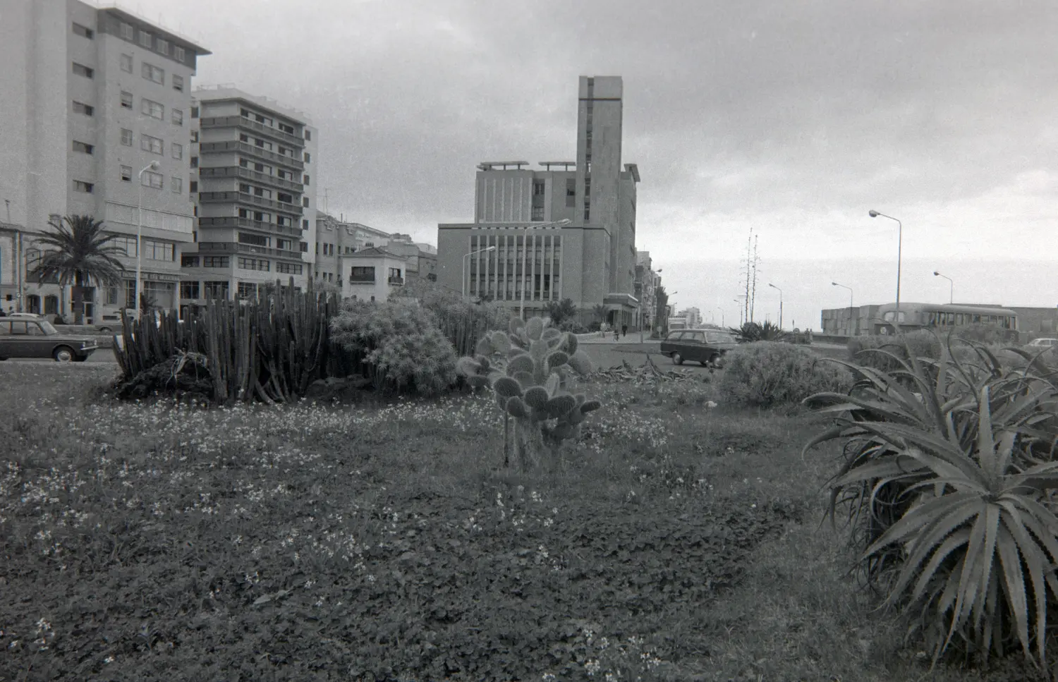 Rotonda de La Constitución